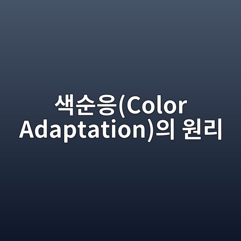ec8389ec889cec9d91color adaptationec9d98 ec9b90eba6ac 1787891905
