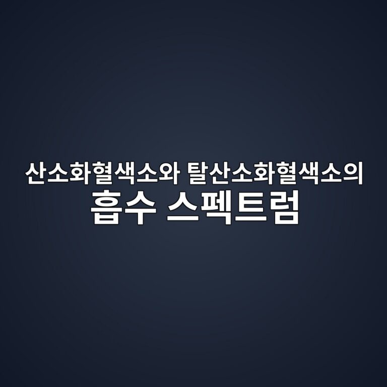 ec82b0ec868ced9994ed9888ec8389ec868cec9980 ed8388ec82b0ec868ced9994ed9888ec8389ec868cec9d98 ed9da1ec8898 ec8aa4ed8e99ed8ab8eb9fbc 1788329177